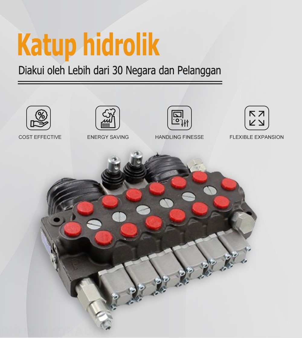 TR55 Manual dan Joystick 6 Spul Kran Arah Monoblok